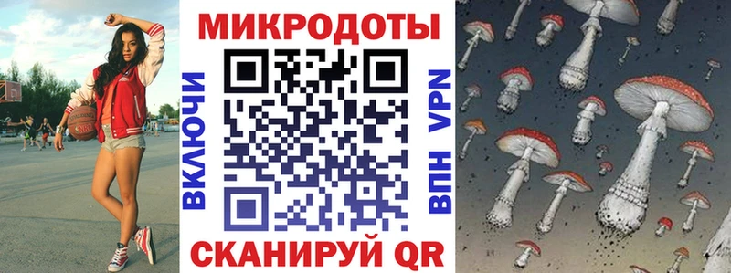 Псилоцибиновые грибы Psilocybe  Купить где  Саки 